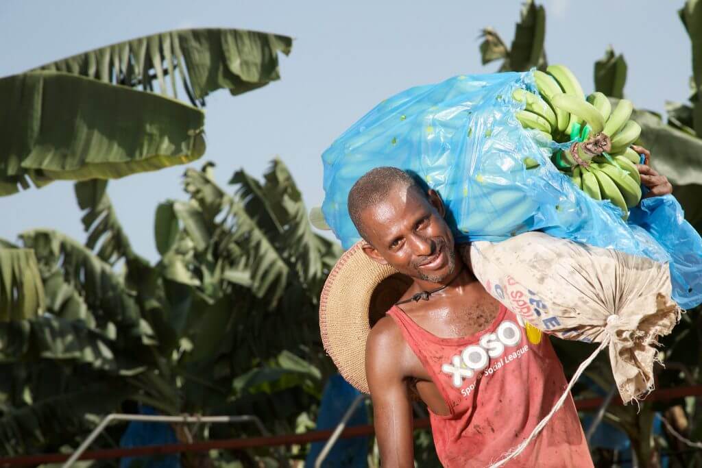 Banana Link Ghana October 2016