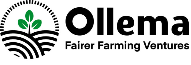 Ollema