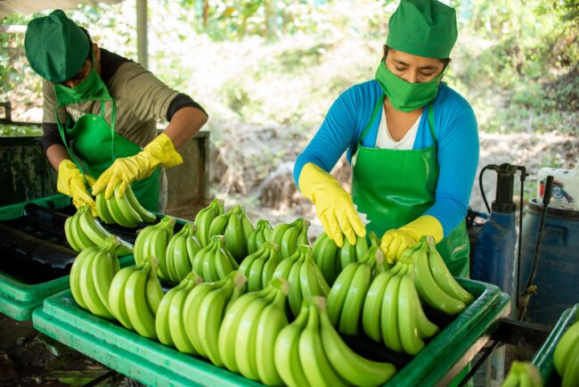Agroperu